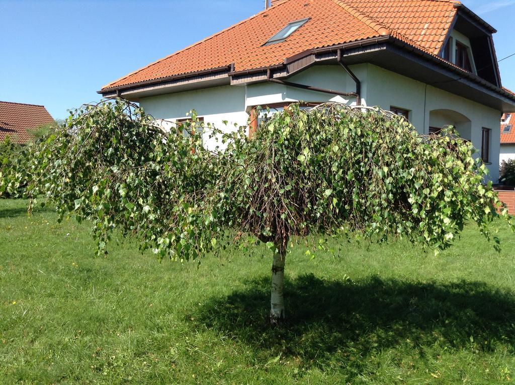 Mit Garten Szczecin