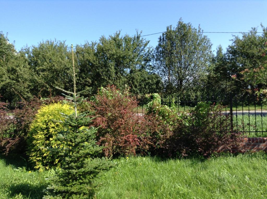 Mit Garten