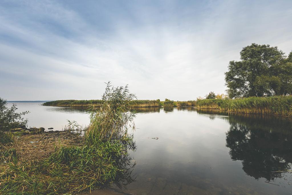 Mit Garten Szczecin